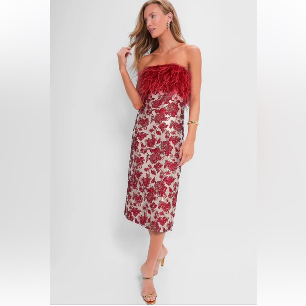 NWT Tuckernuck Hyacinth House Red Feather Dress